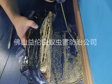 里水体育馆灭治白蚁工程